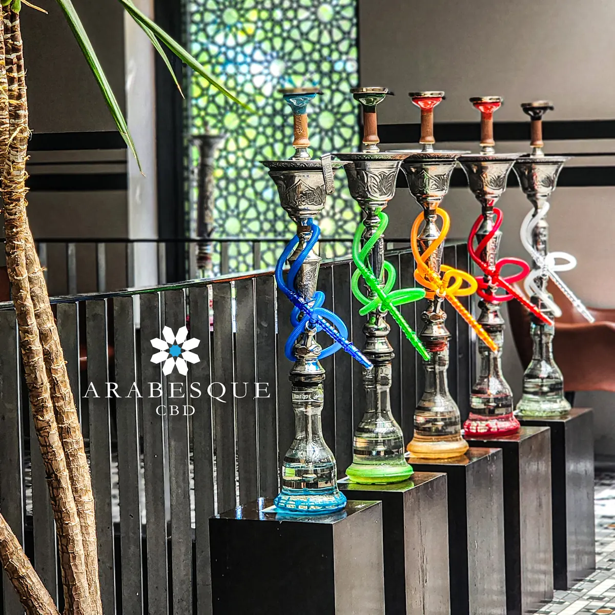 Shisha pipes lined up in the upstairs lounge by the patterned window